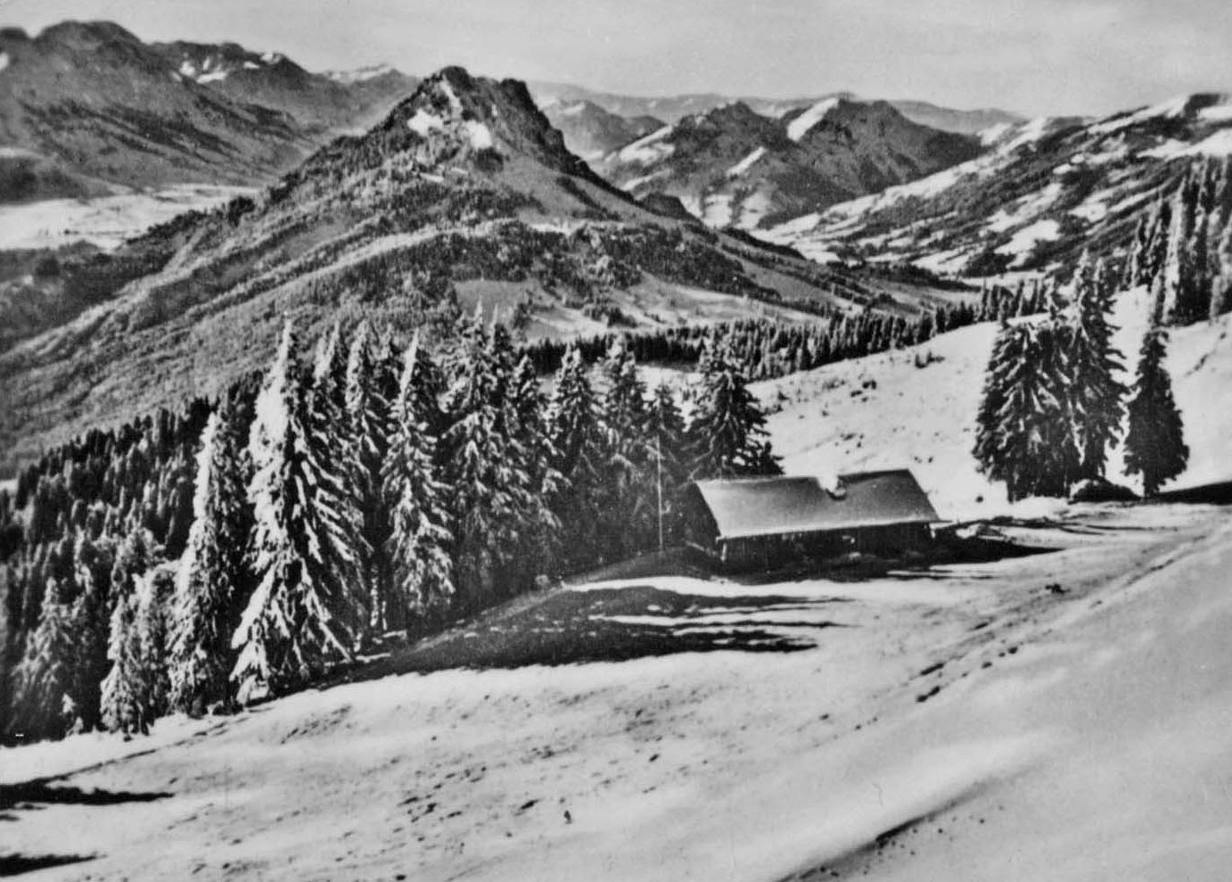 Die Dinserhtte am Edelsberg