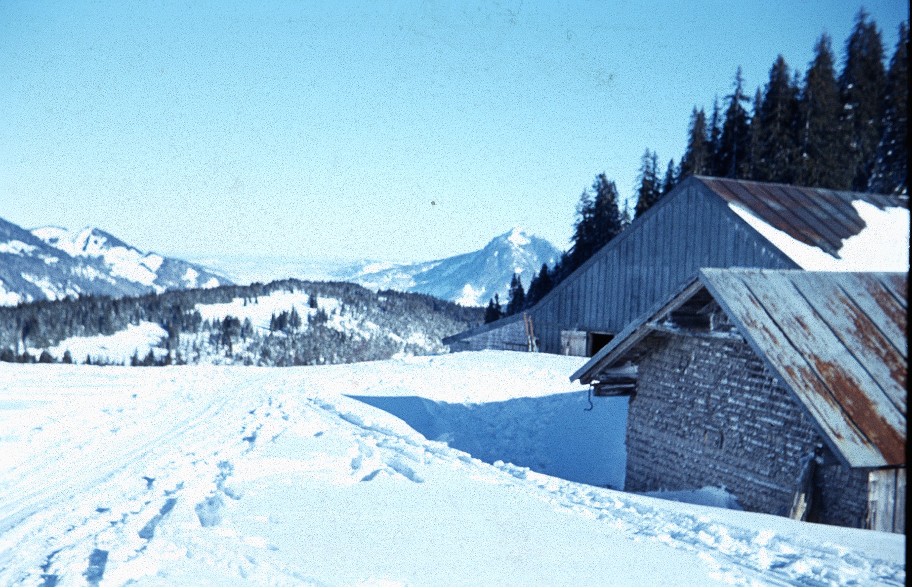  Blick zum Grünten