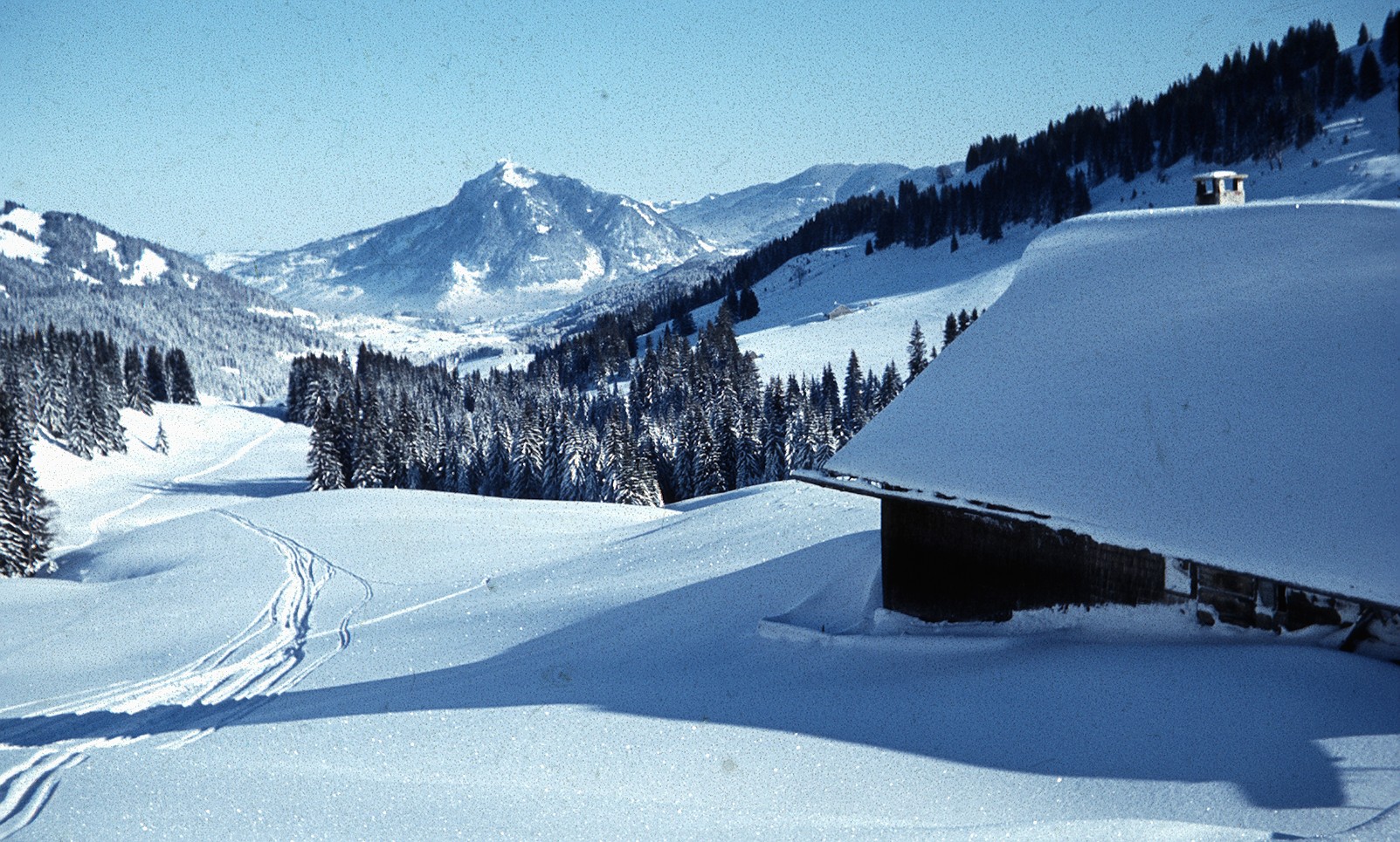 Blick von der Rappengschwend-Alm auf den Grnten